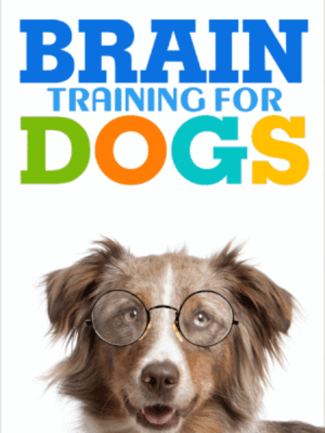 High Quality Dog Training Course Featuring 21 Games To Improve A Dog’s Intelligence And Behavior, Plus Easy Instructions For Training